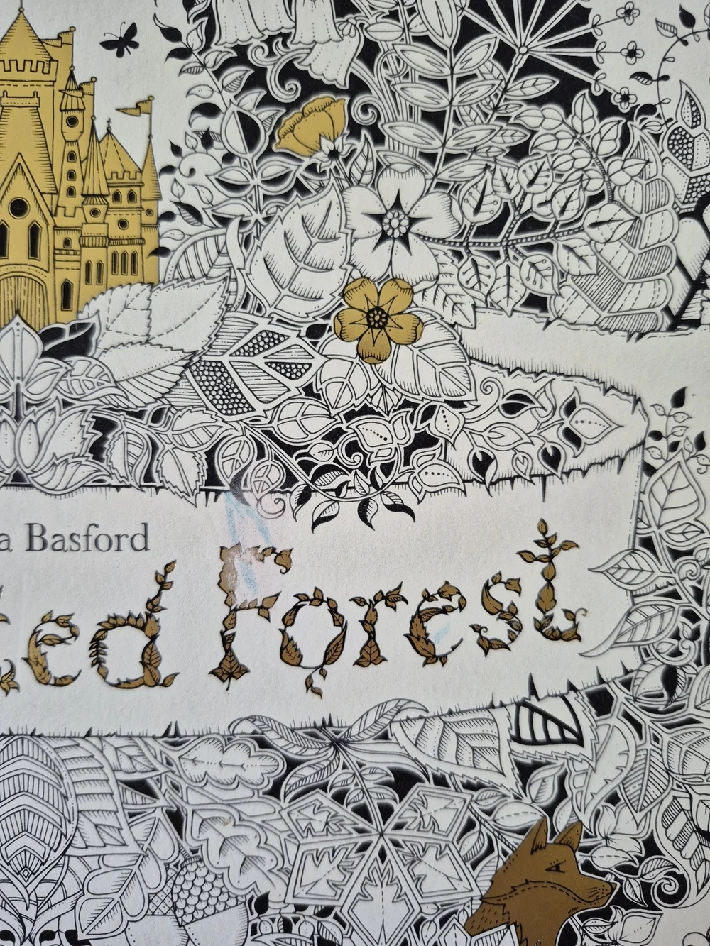 Enchanted Forest Coloring Book by — Cream & Gold